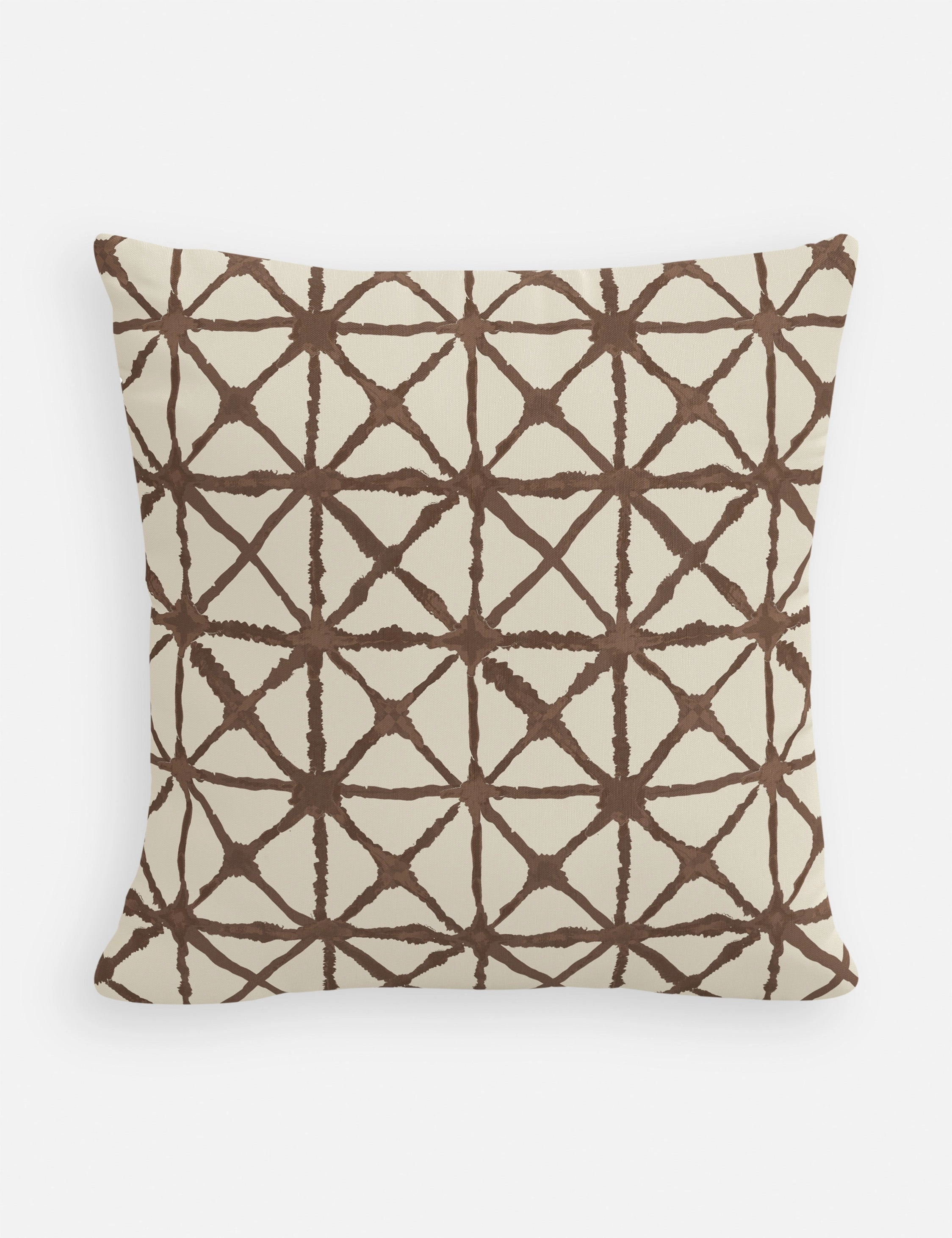Azara Indoor / Outdoor Pillow