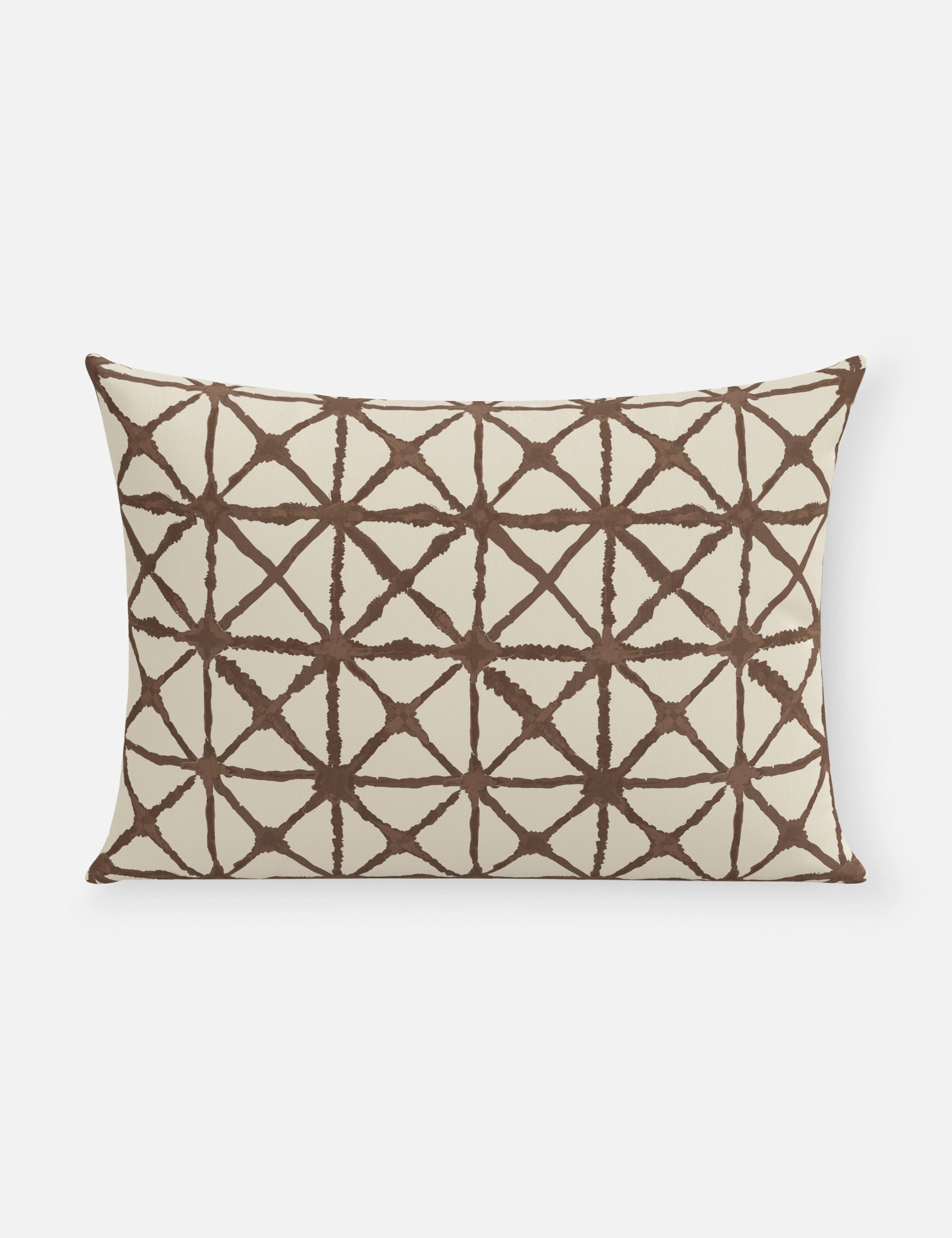 Azara Indoor / Outdoor Pillow