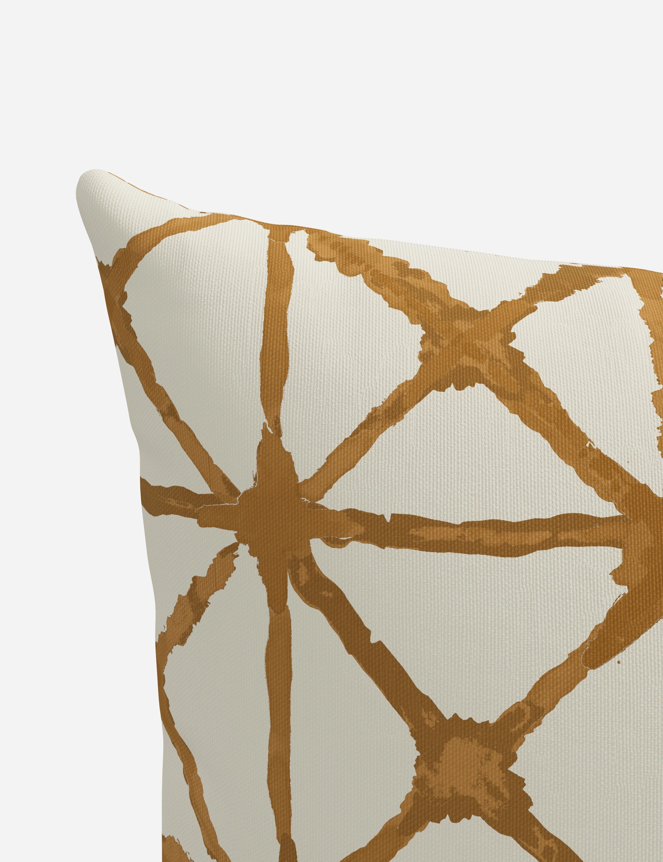 Azara Indoor / Outdoor Pillow