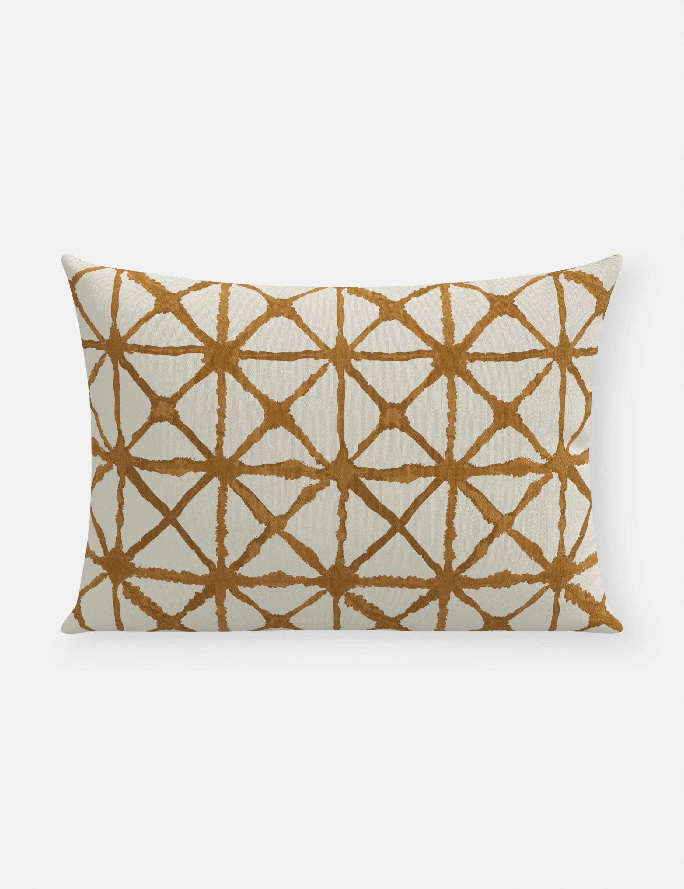 Azara Indoor / Outdoor Pillow