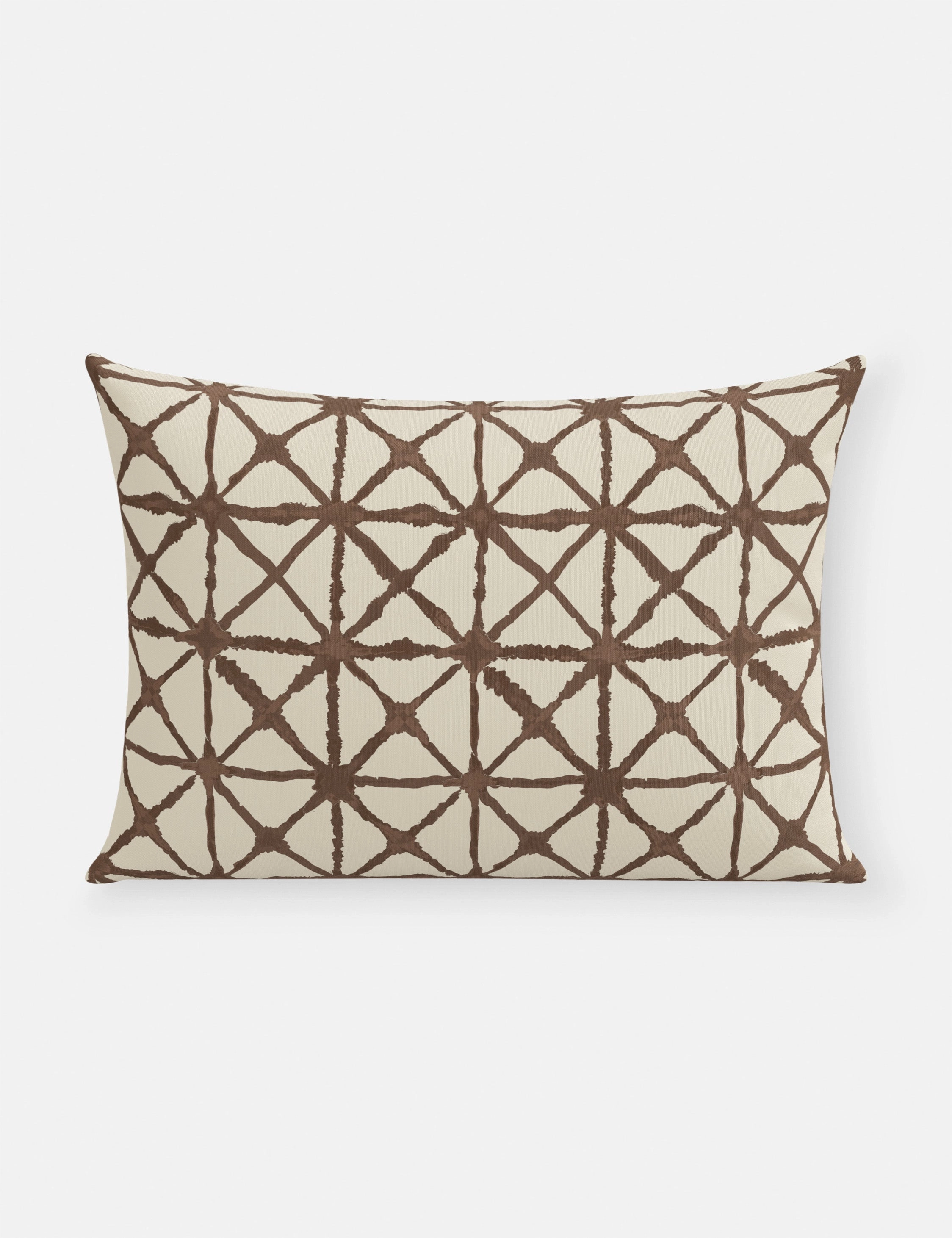 Azara Indoor / Outdoor Pillow