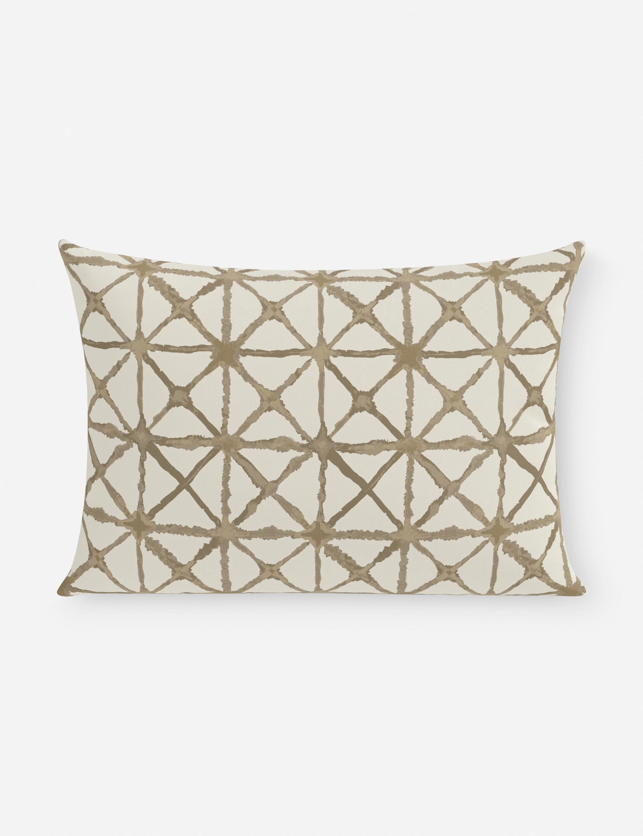 Azara Indoor / Outdoor Pillow