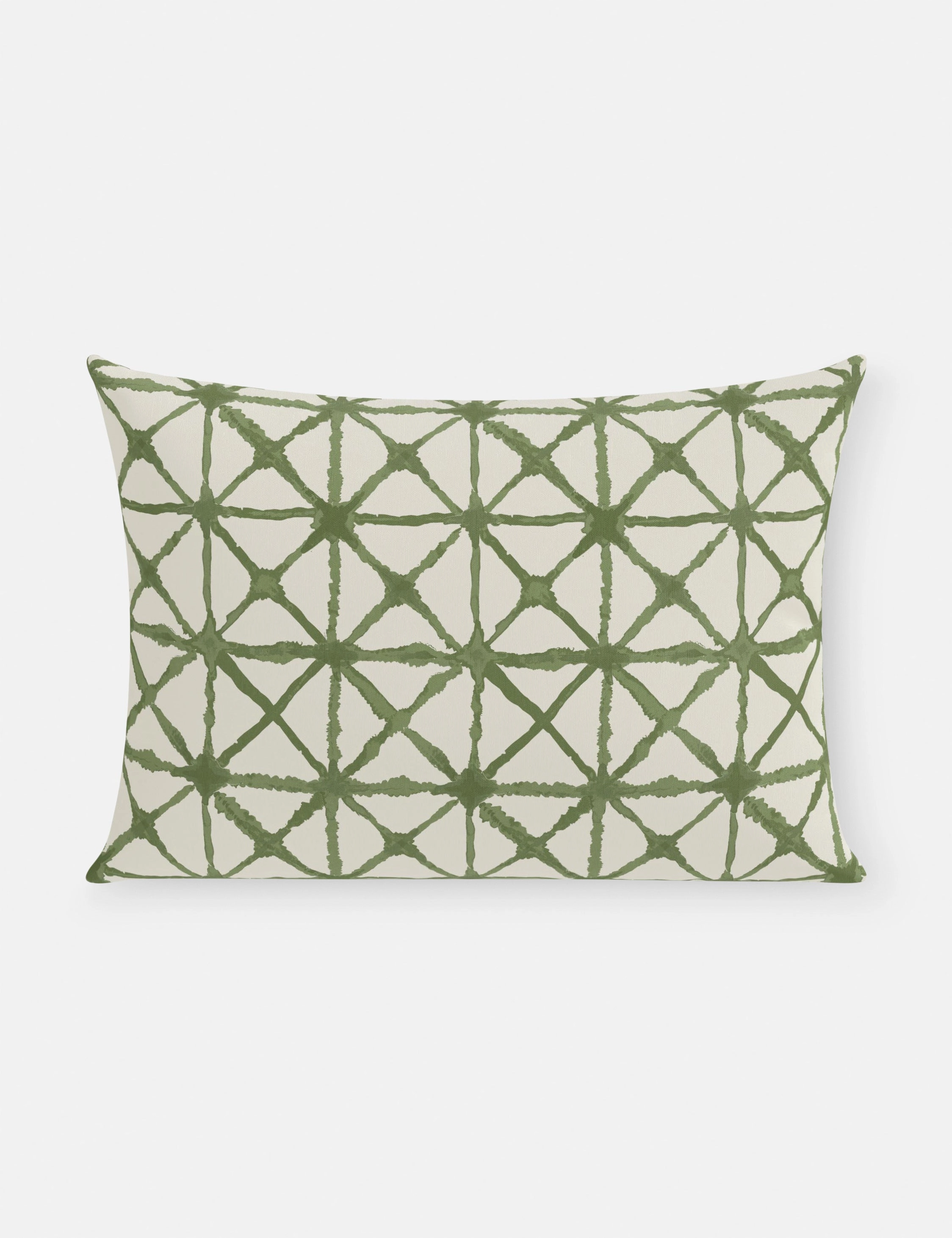 Azara Indoor / Outdoor Pillow