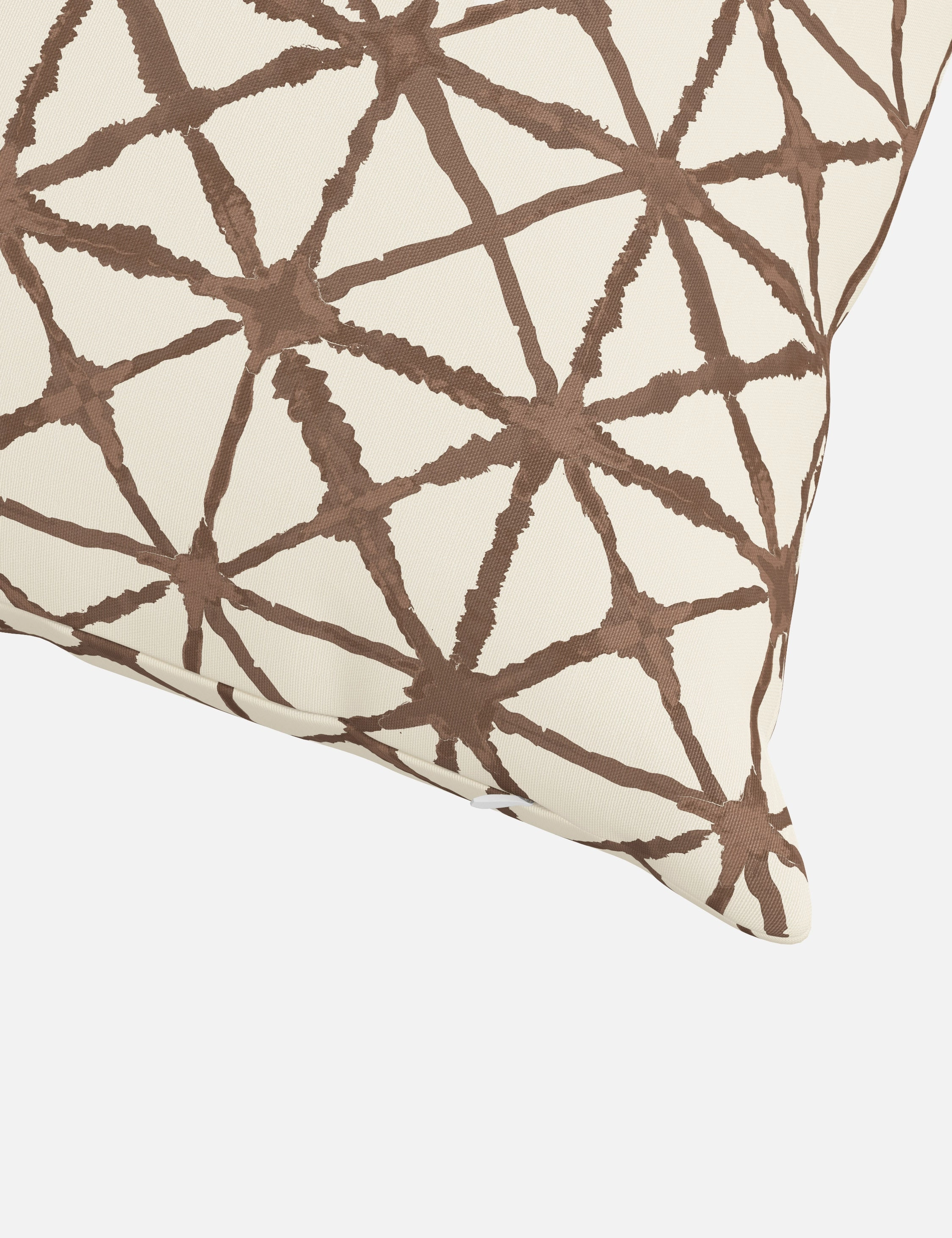Azara Indoor / Outdoor Pillow