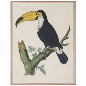 Barraband Toucans 1nordic style wall decor