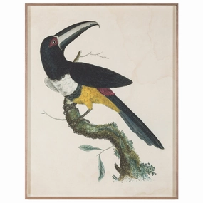 Barraband Toucans 2nordic style wall decor