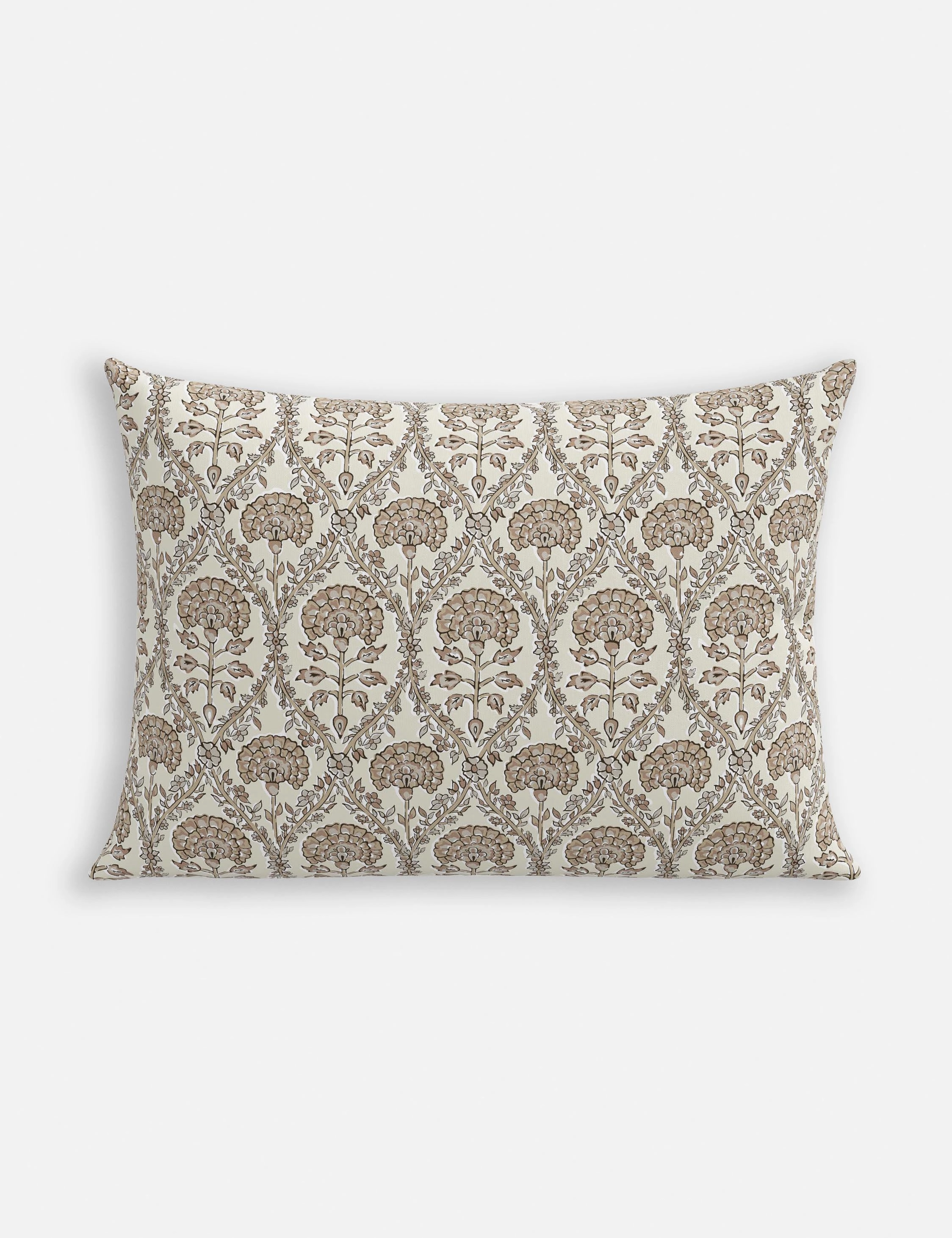 Barrera Indoor / Outdoor Pillow