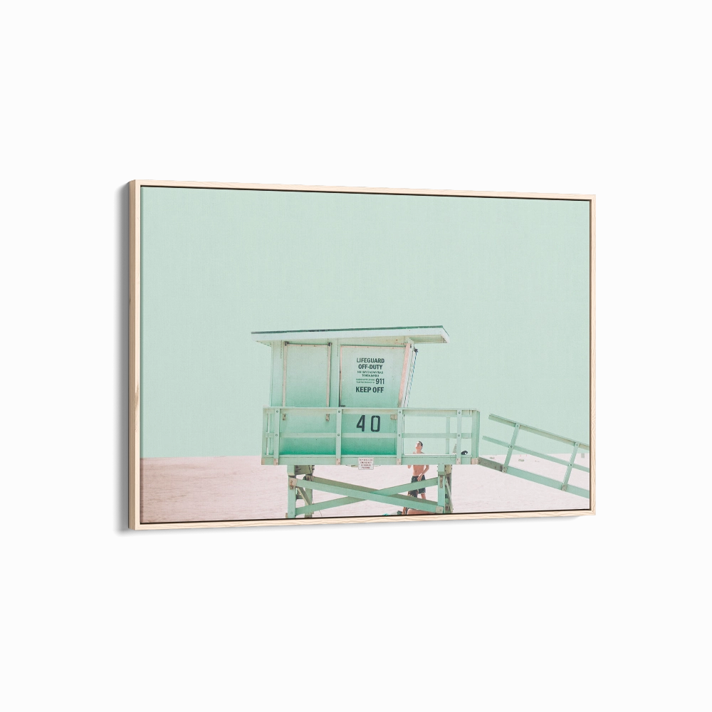 Beach House Landscape