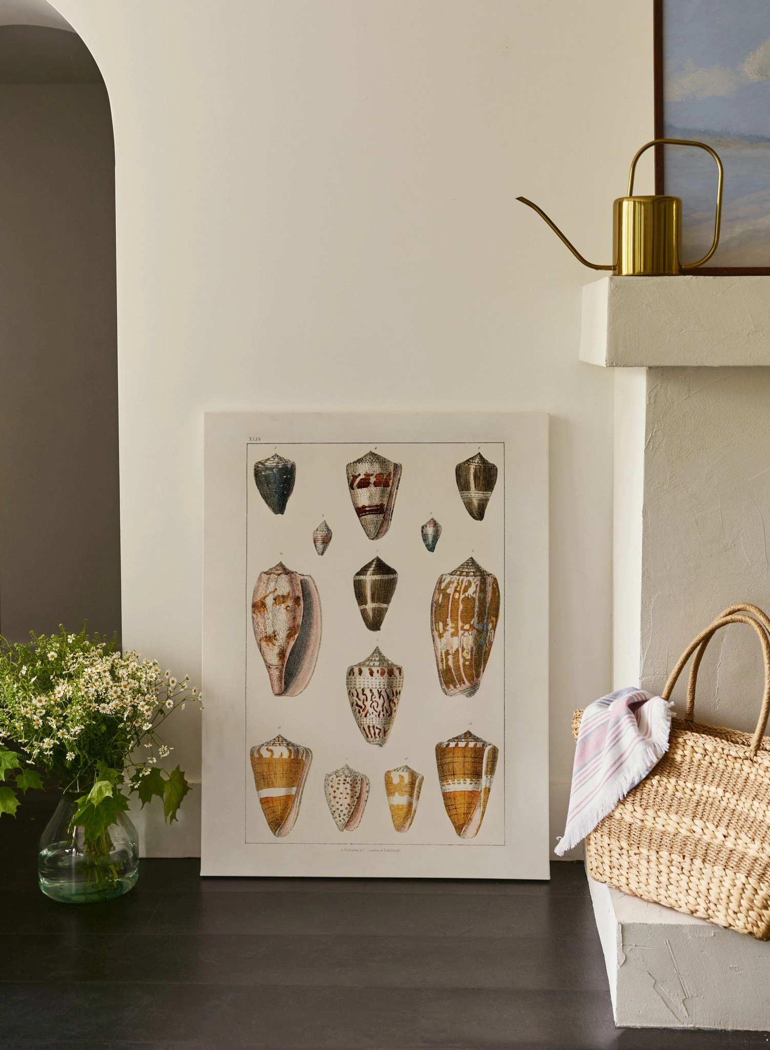 Beachcomber's Delight, Canvas
