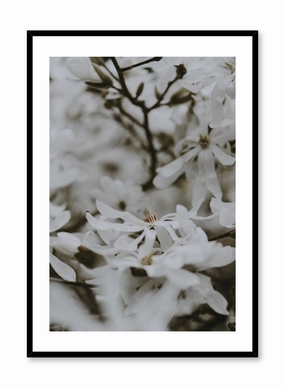Bed of Flowers, Posterpop culture themed posters