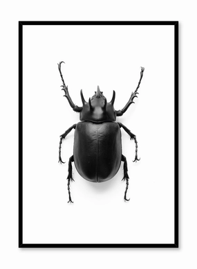 Beetle, Posterpop culture themed posters