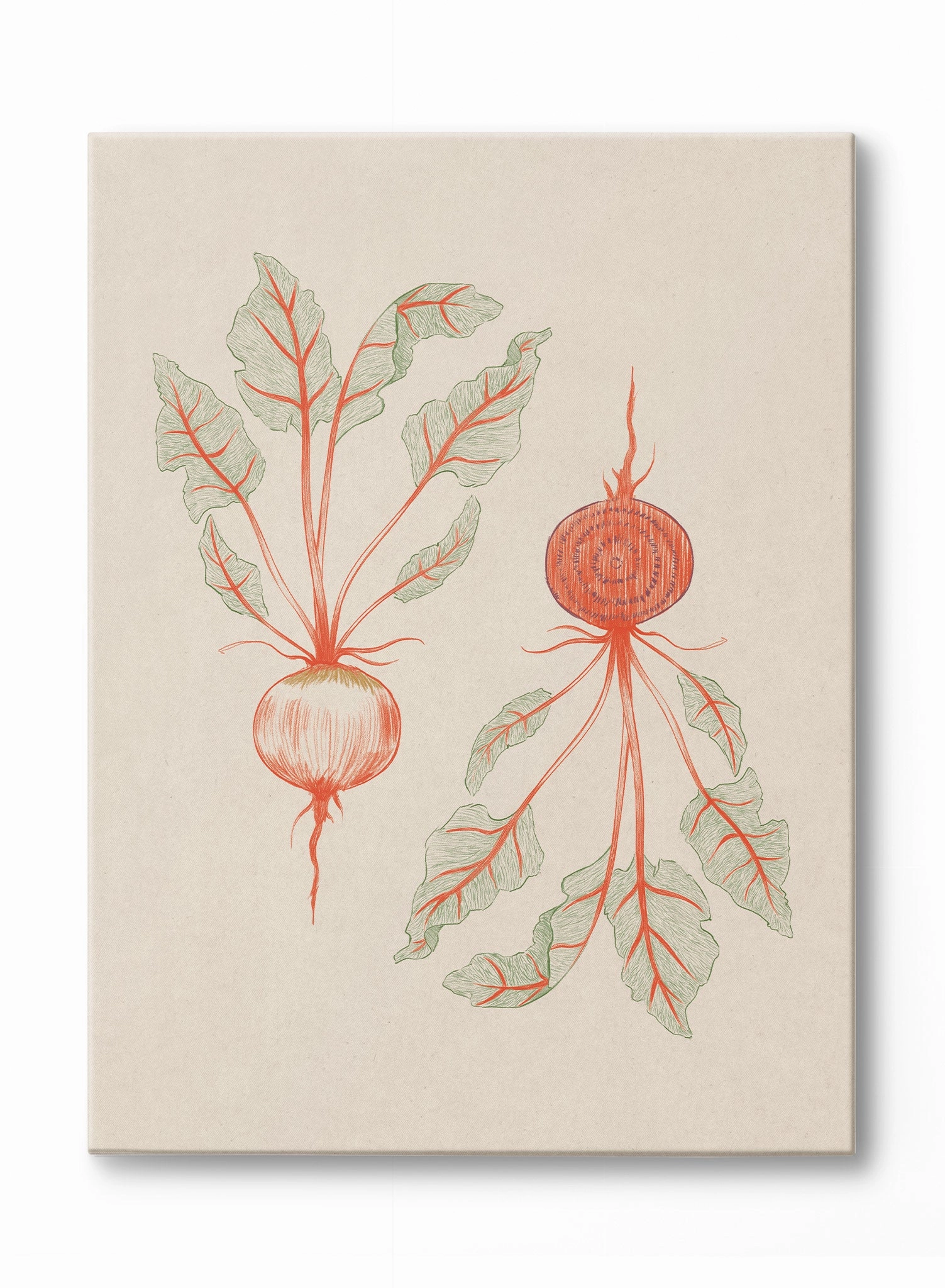 Beets in Two Tones, Canvasindoor decorative canvas print