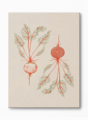 Beets in Two Tones, Canvasindoor decorative canvas print