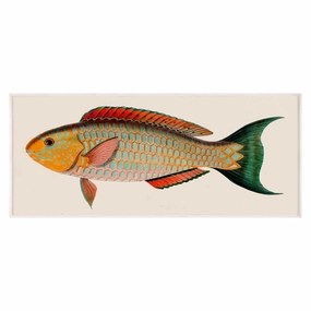Bennet Fish 1nordic style wall decor