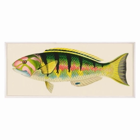Bennet Fish 3nordic style wall decor