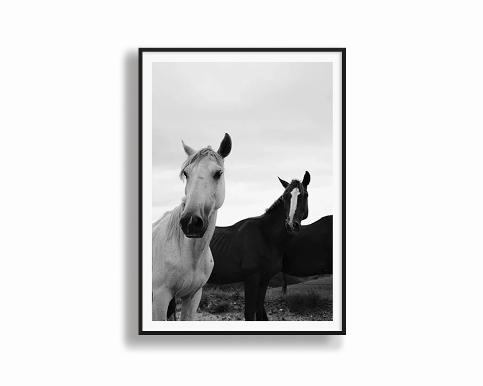 Black & White Stallionsmodern abstract painting decor