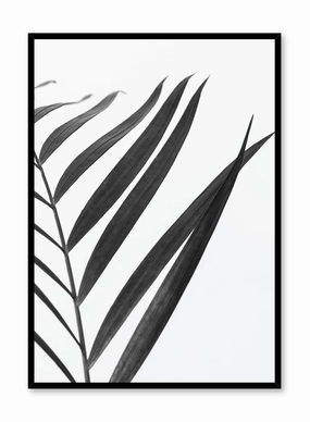 Black Palm, Posterpop culture themed posters