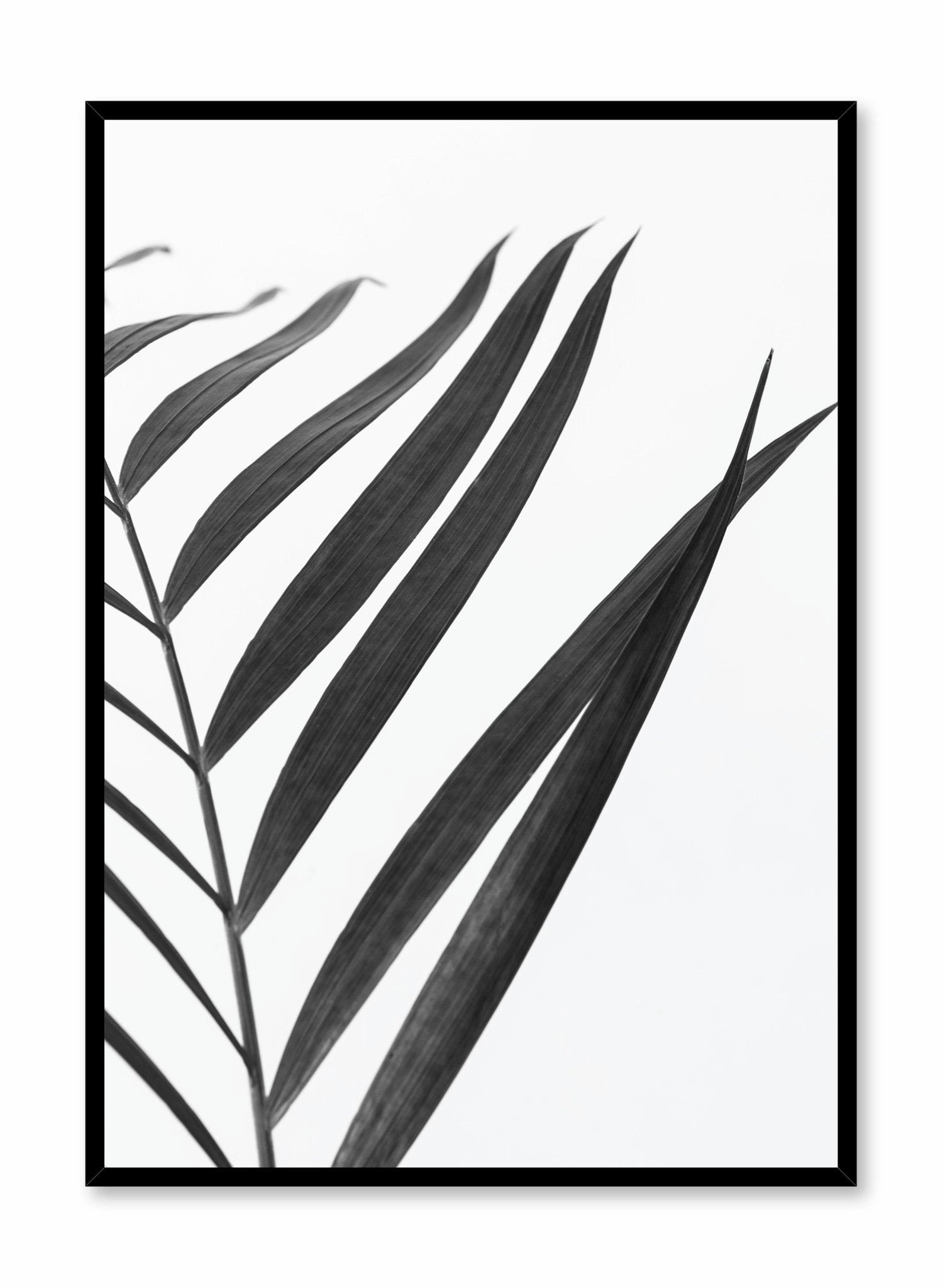 Black Palm, Posterpop culture themed posters