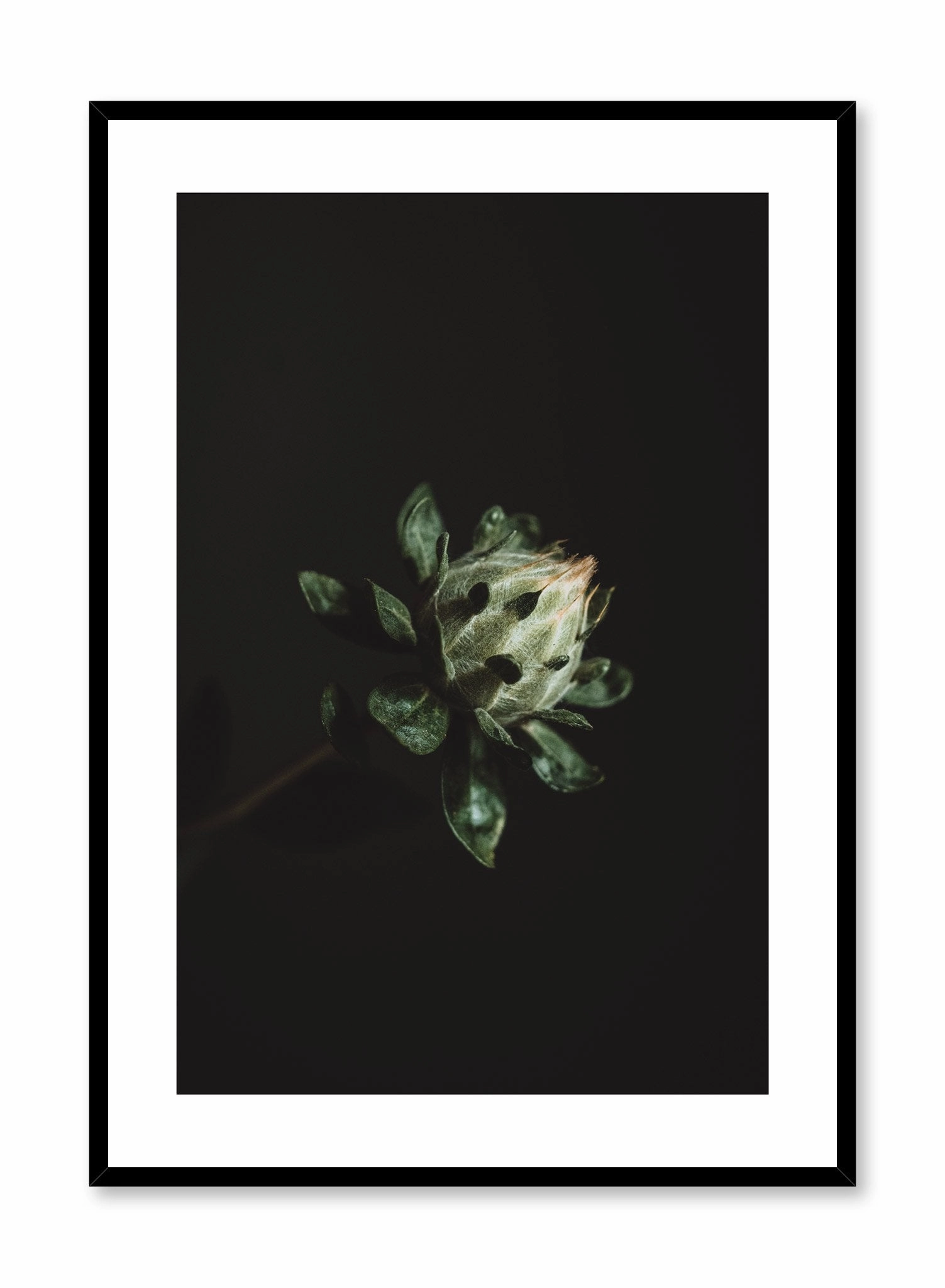 Blooming Plant, Posterpop culture themed posters