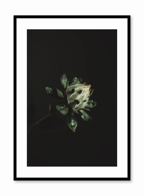 Blooming Plant, Posterpop culture themed posters