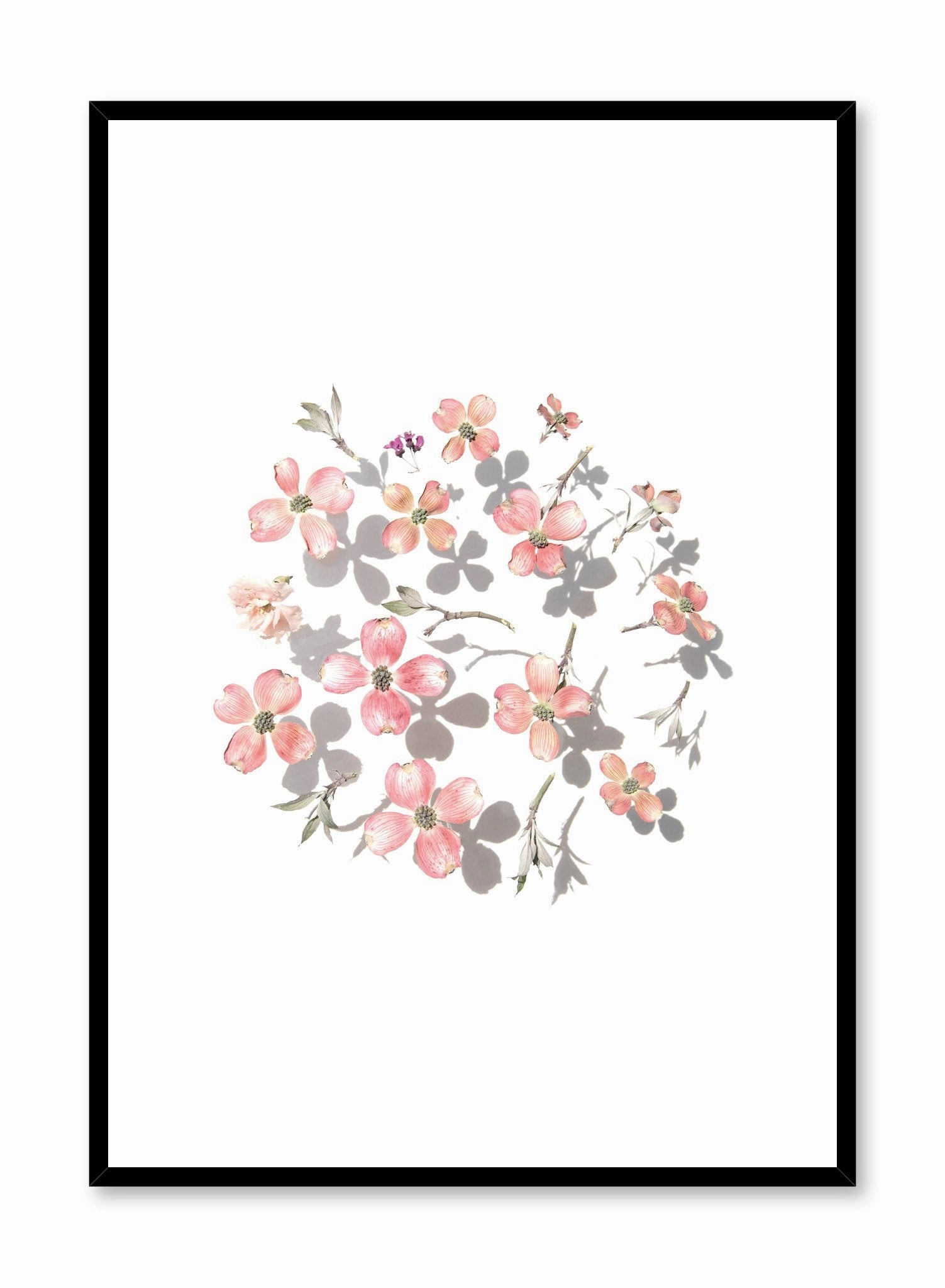 Blooming Shadows, Posterpop culture themed posters