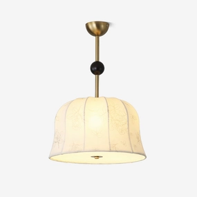 Blossom Curve Pendant LampScandinavian pendant light ,modern chandelier 