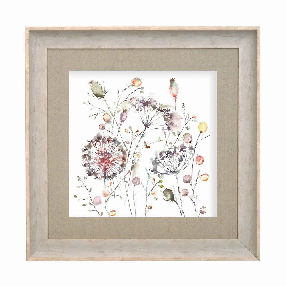 Boronia Framed Print Birch