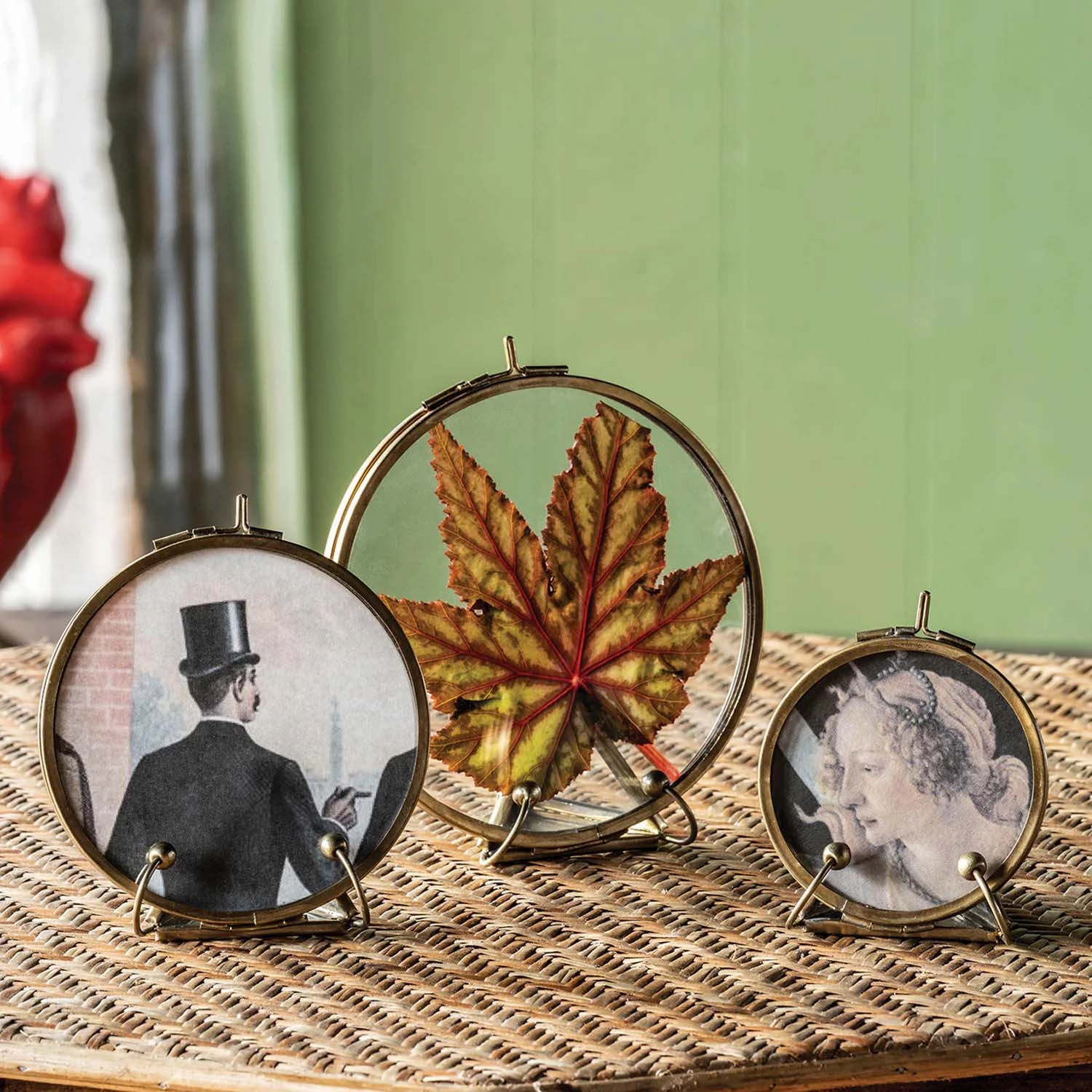 Botanist Round Display - Small