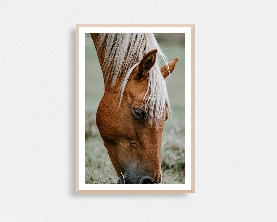 Brown Pony Grazingnordic style wall decor