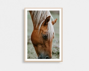 Brown Pony Grazingnordic style wall decor