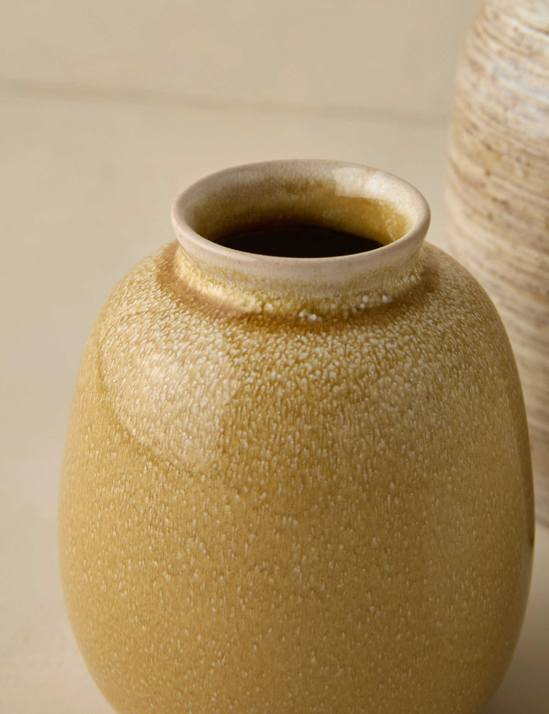 Bryony Vases (Set of 3)