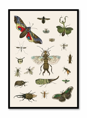Bug Studies, Posterpop culture themed posters