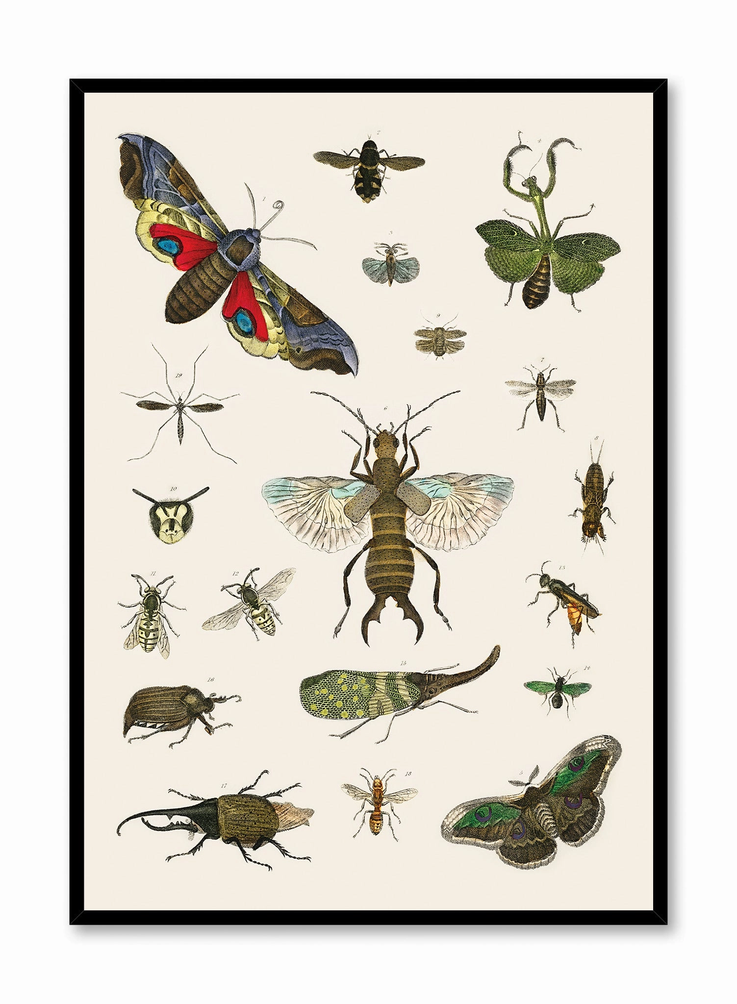 Bug Studies, Posterpop culture themed posters