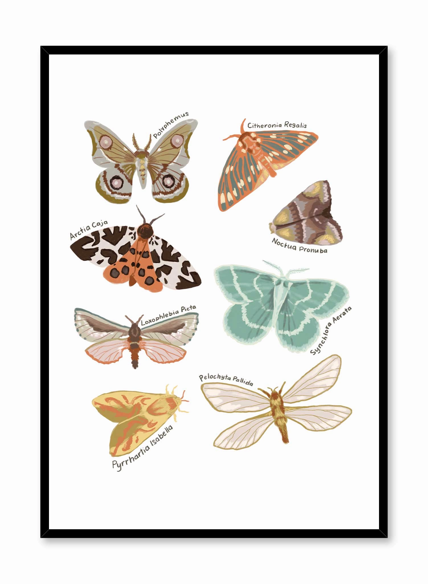 Butterflies, Posterpop culture themed posters