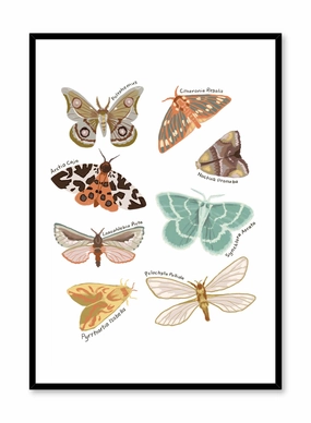 Butterflies, Posterpop culture themed posters