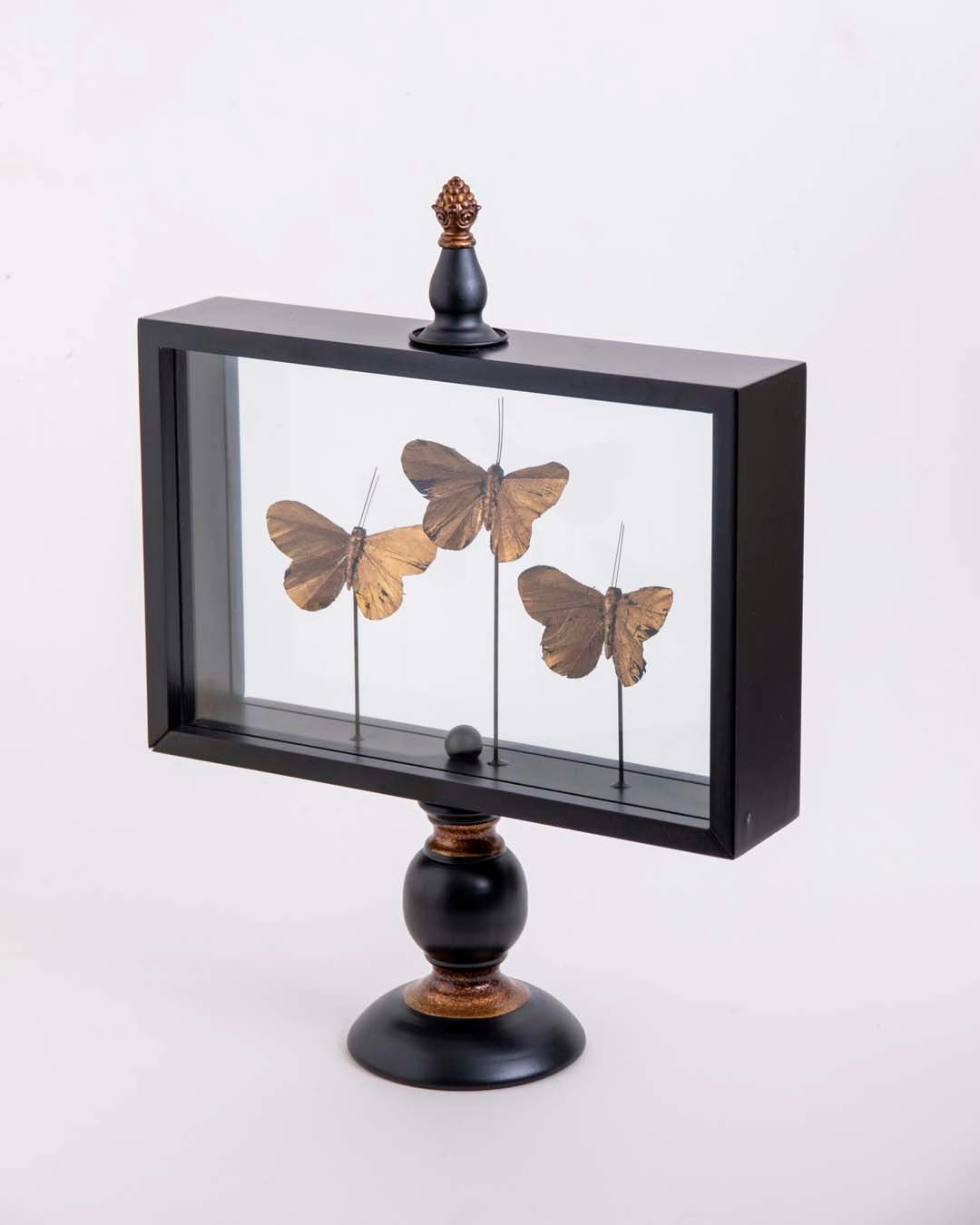 Butterfly Glass Display - Large