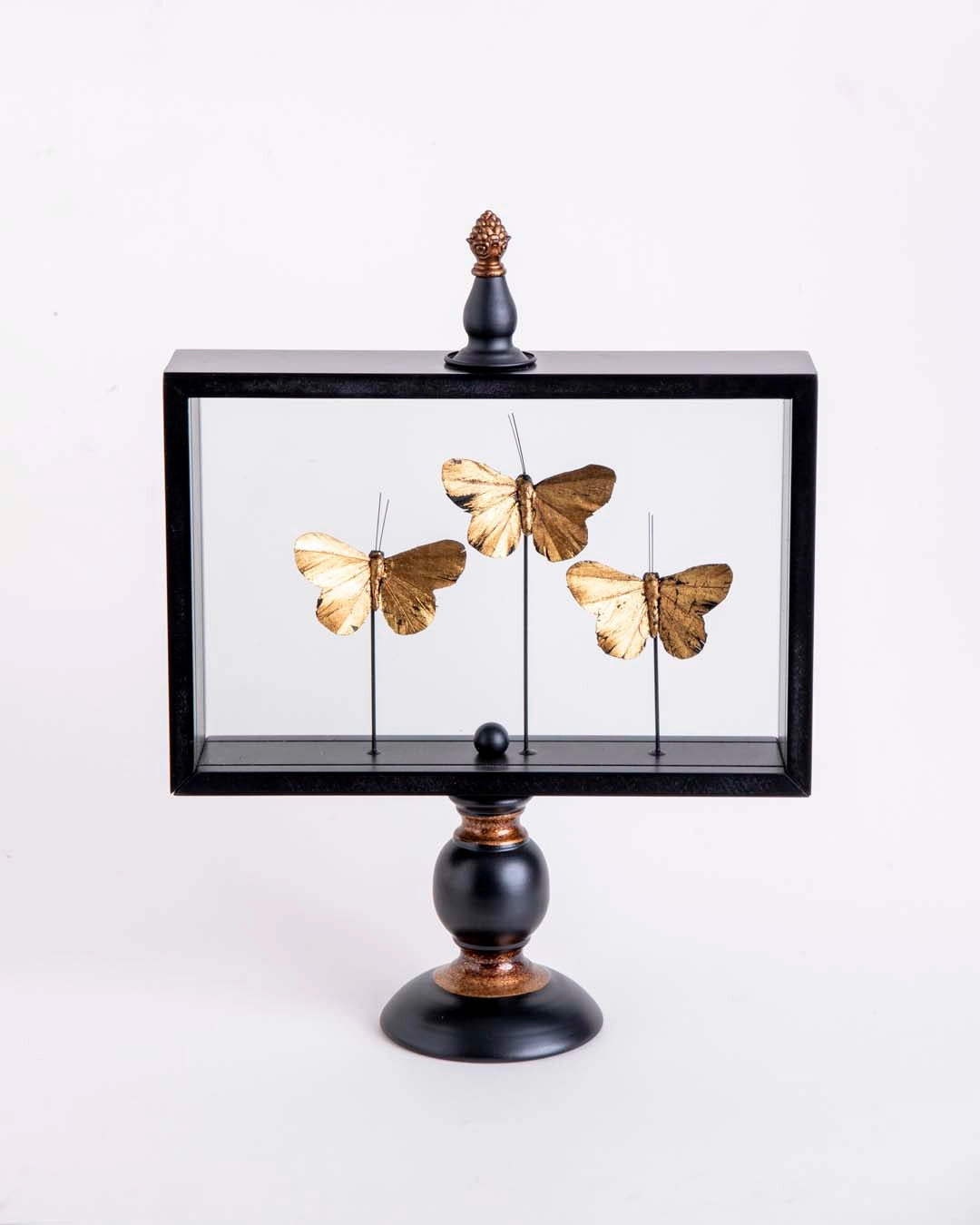 Butterfly Glass Display - Large