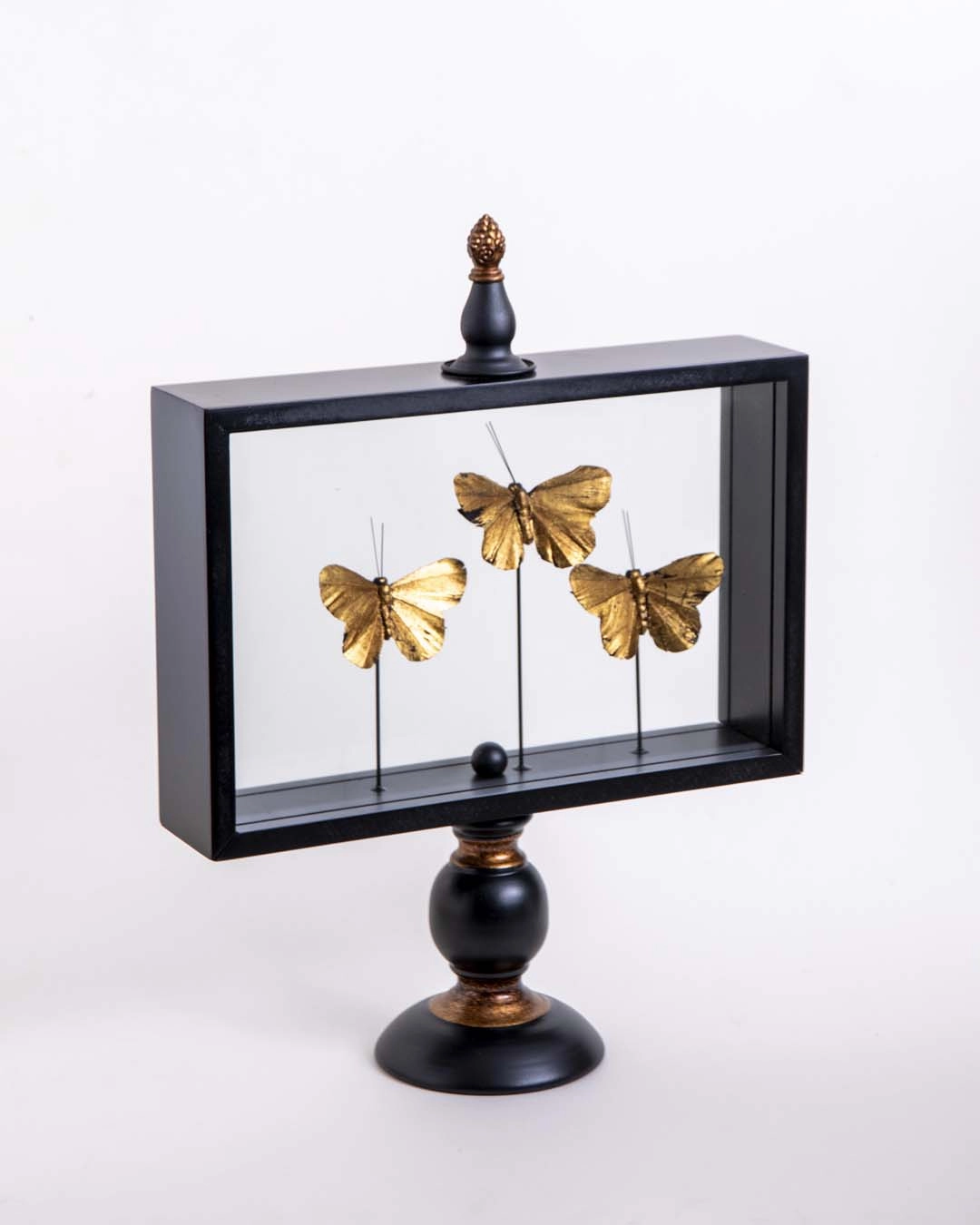 Butterfly Glass Display - Large