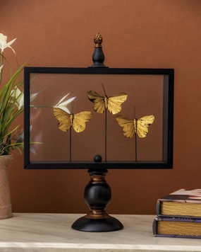 Butterfly Glass Display - Largehome decor ,wall decor 