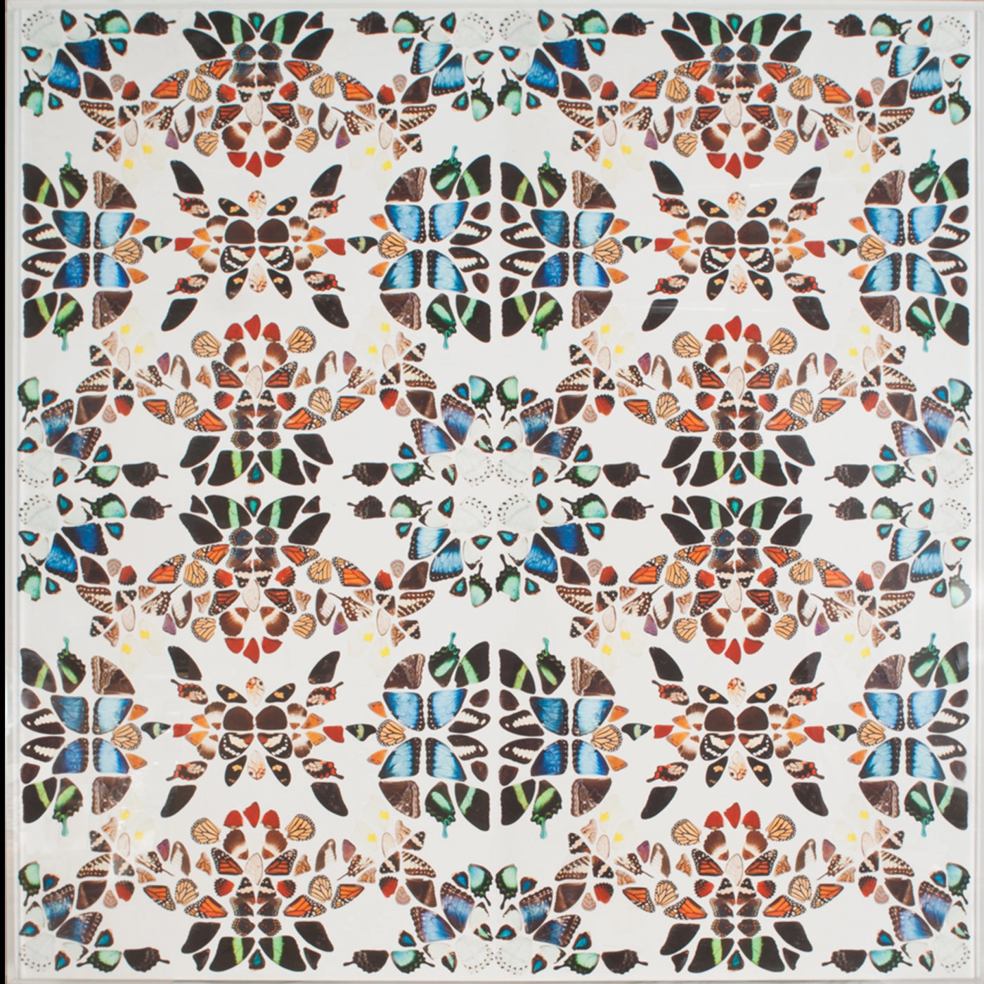 Butterfly Patterns 1nordic style wall decor