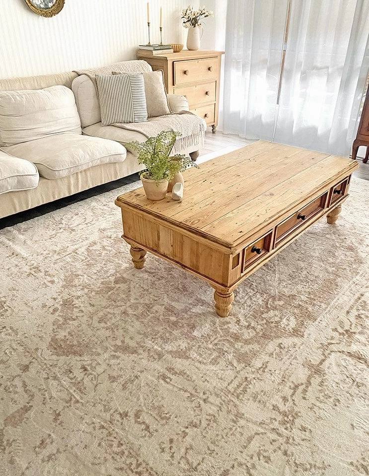 Cabanela Cream and Beige Distressed Washable Rug