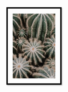 Cacti, Posterpop culture themed posters