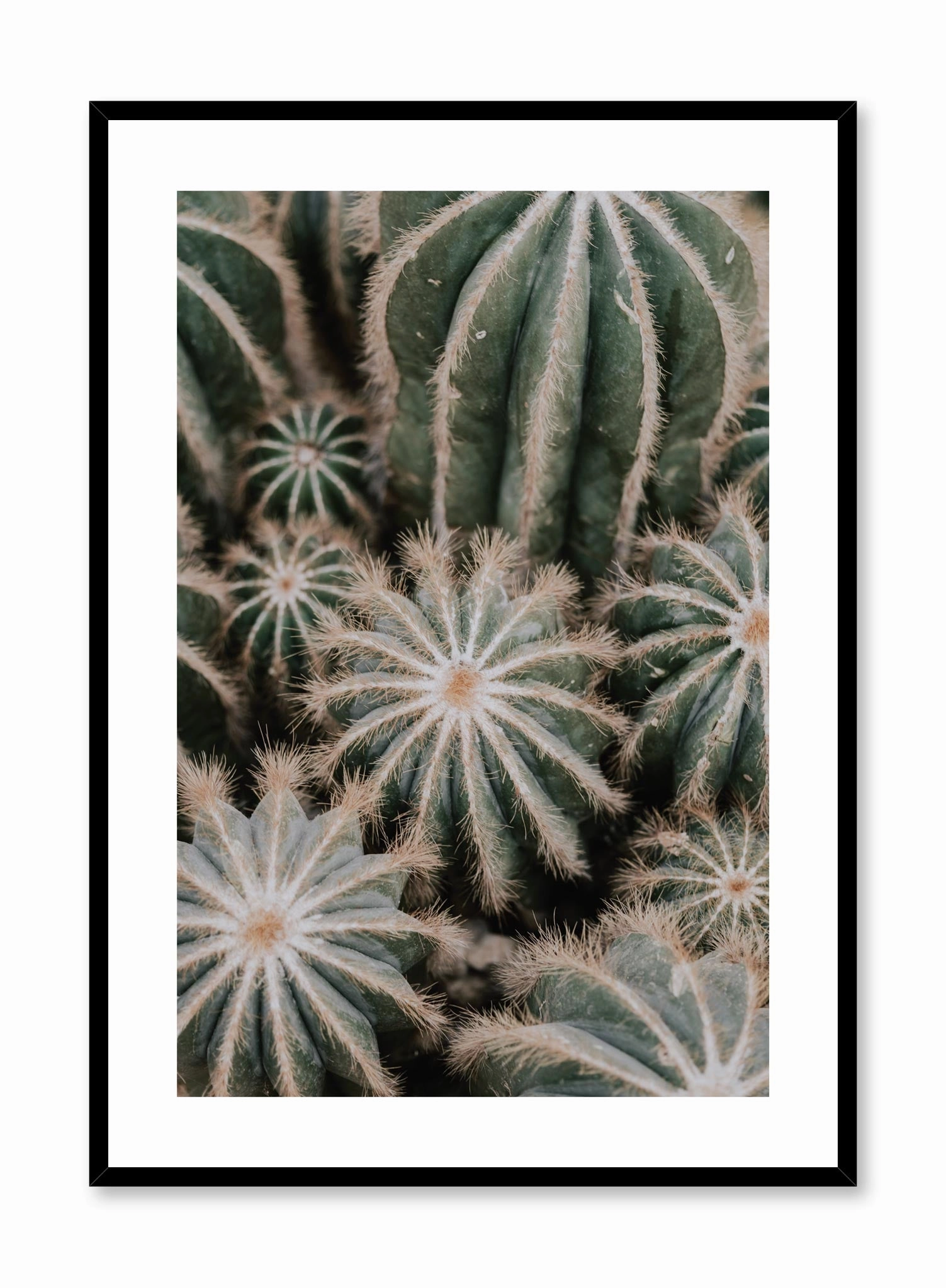 Cacti, Posterpop culture themed posters