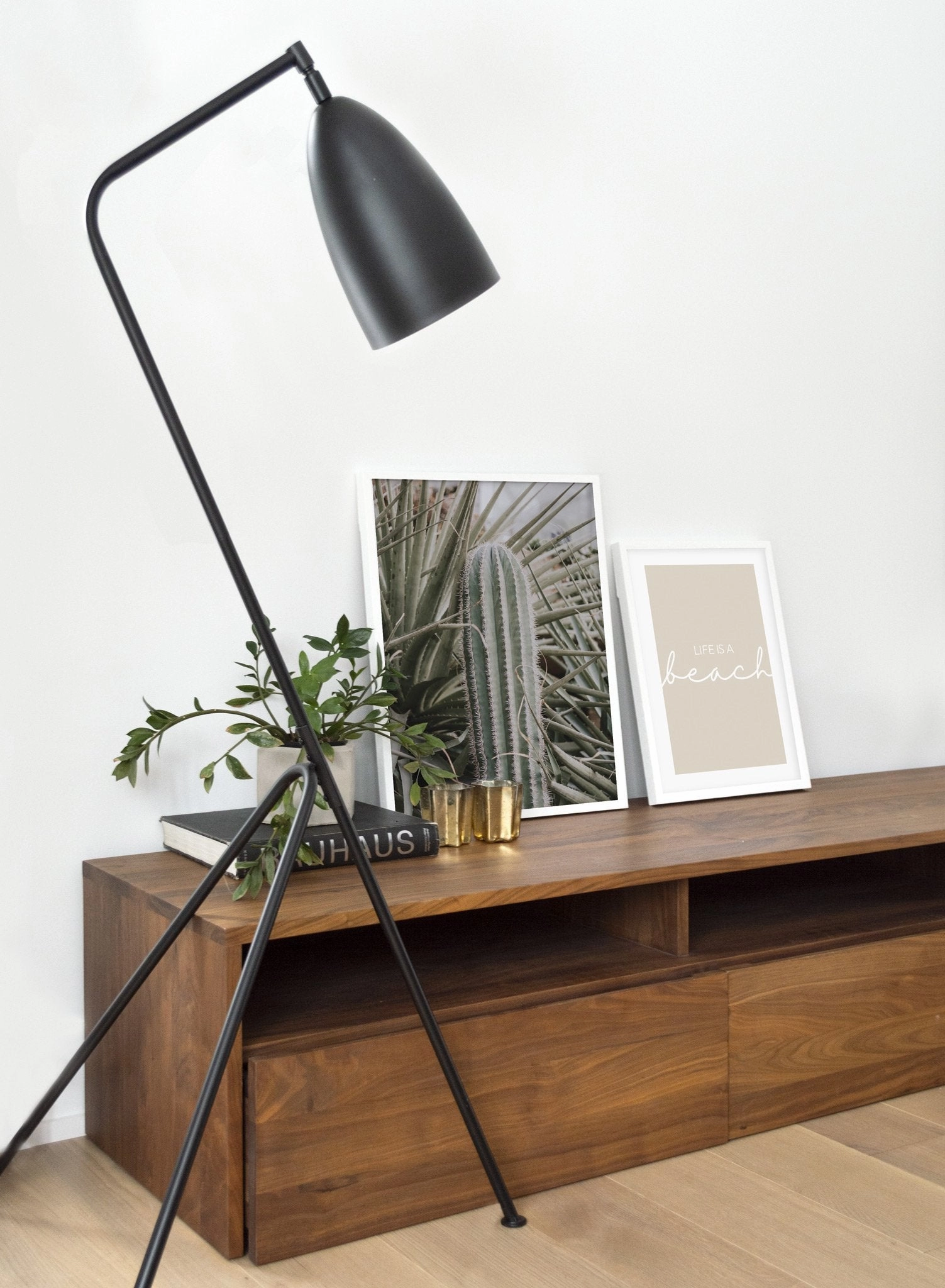 Cactus in Nature, Poster