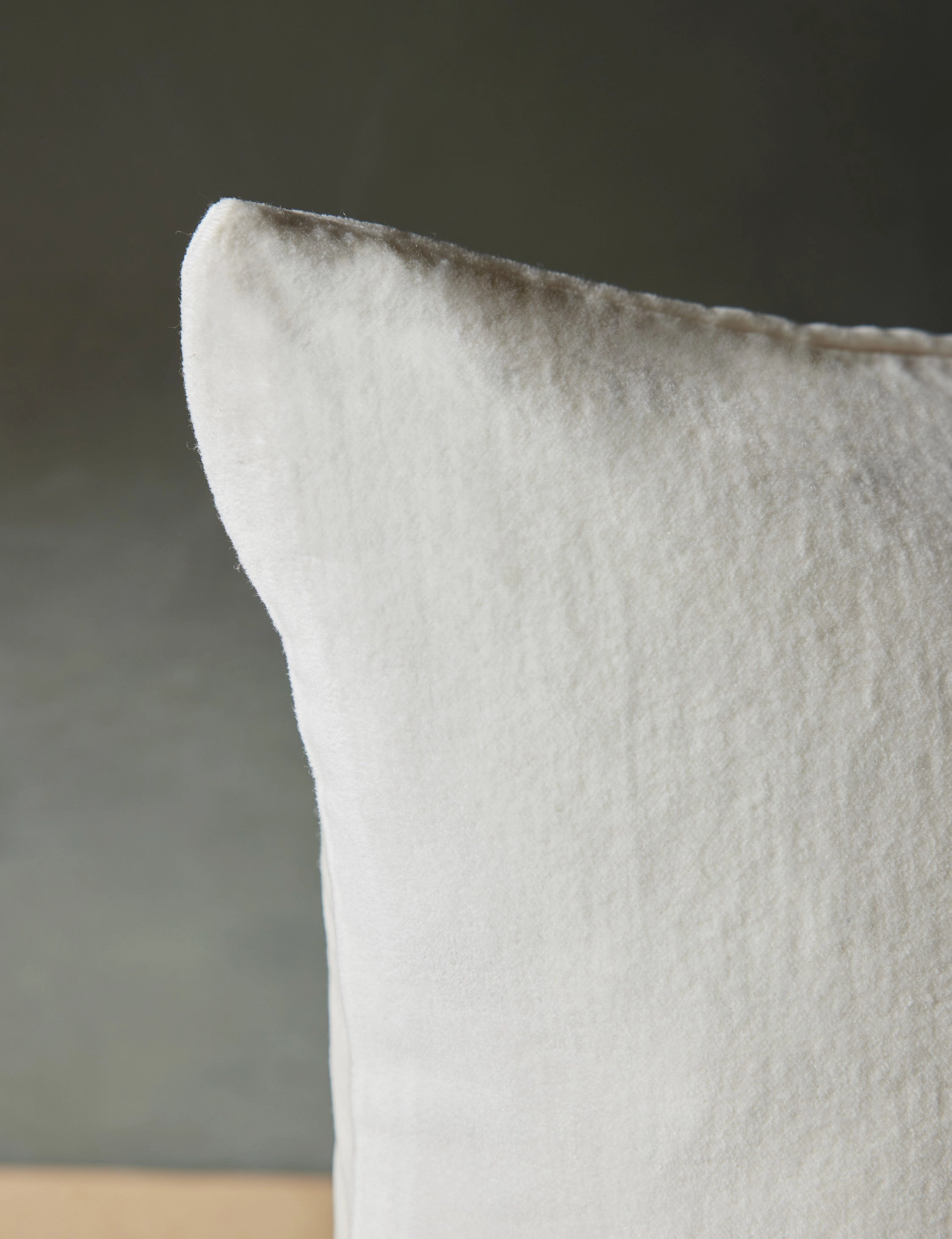 Caddie Velvet Pillow