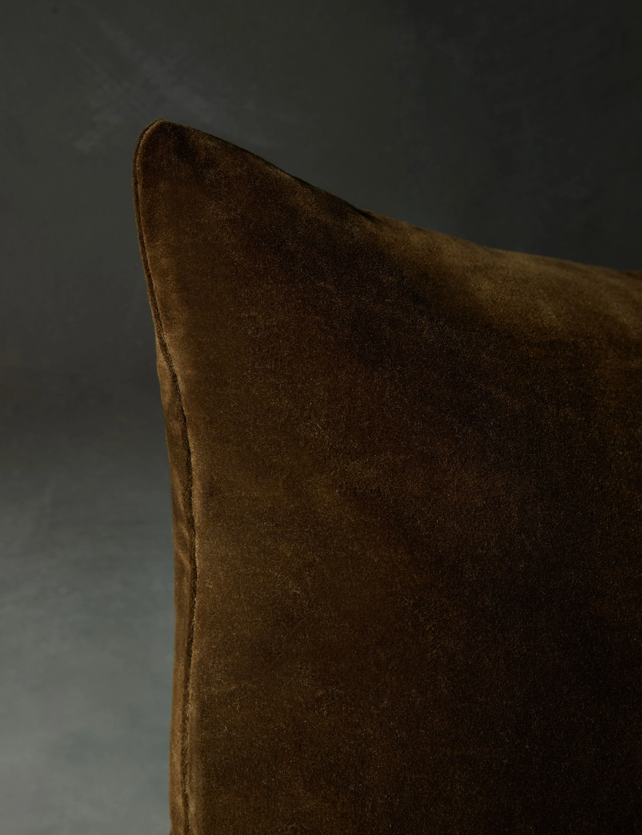 Caddie Velvet Pillow