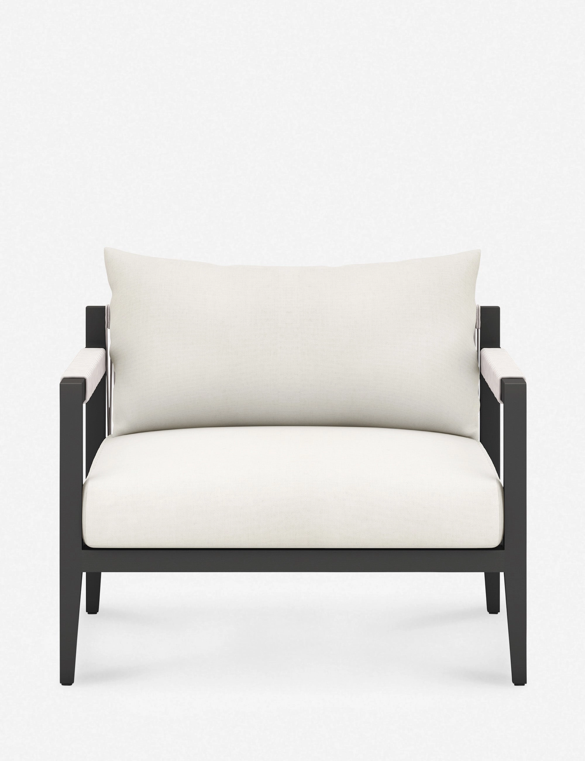 Cadenza Indoor / Outdoor Accent Chair