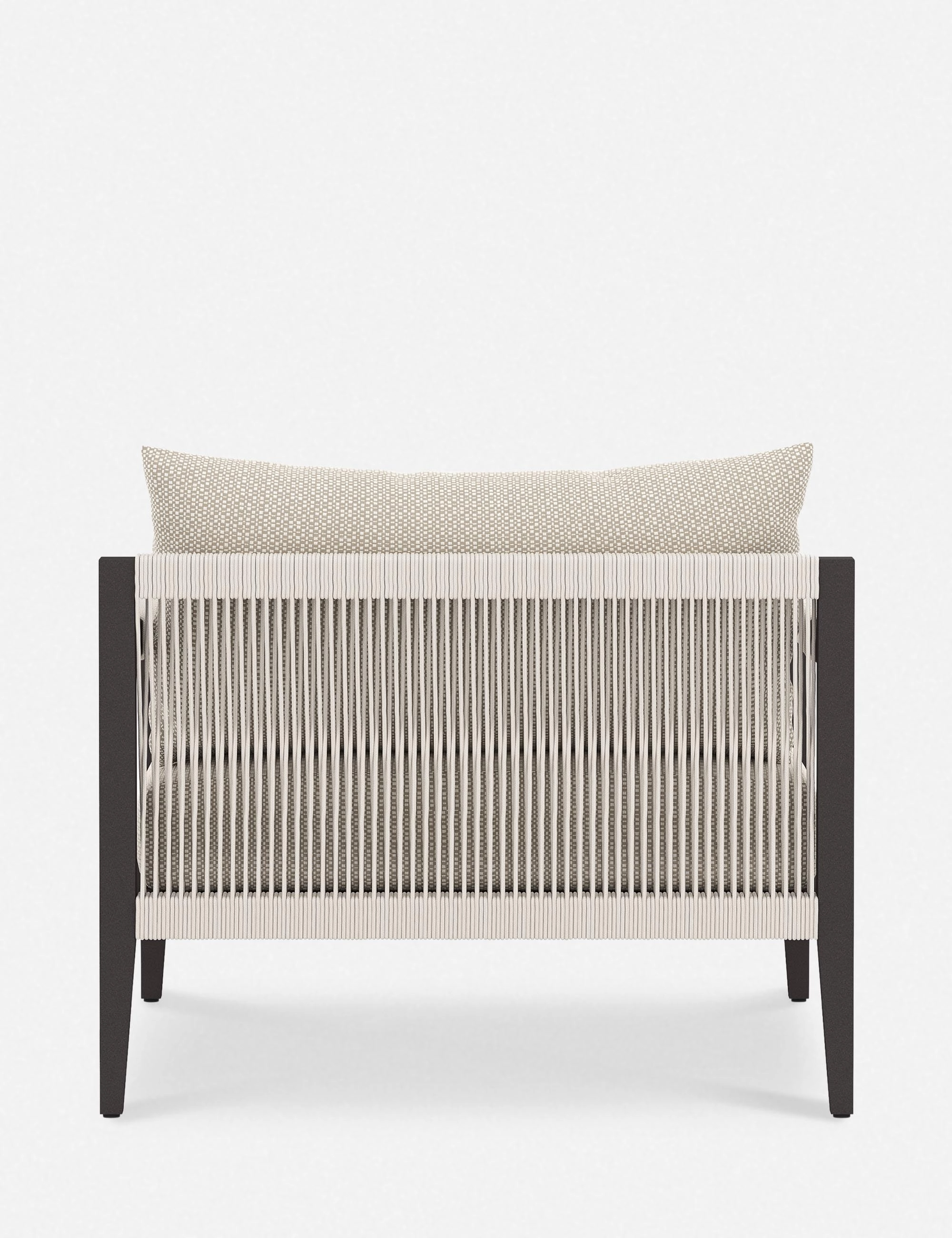 Cadenza Indoor / Outdoor Accent Chair