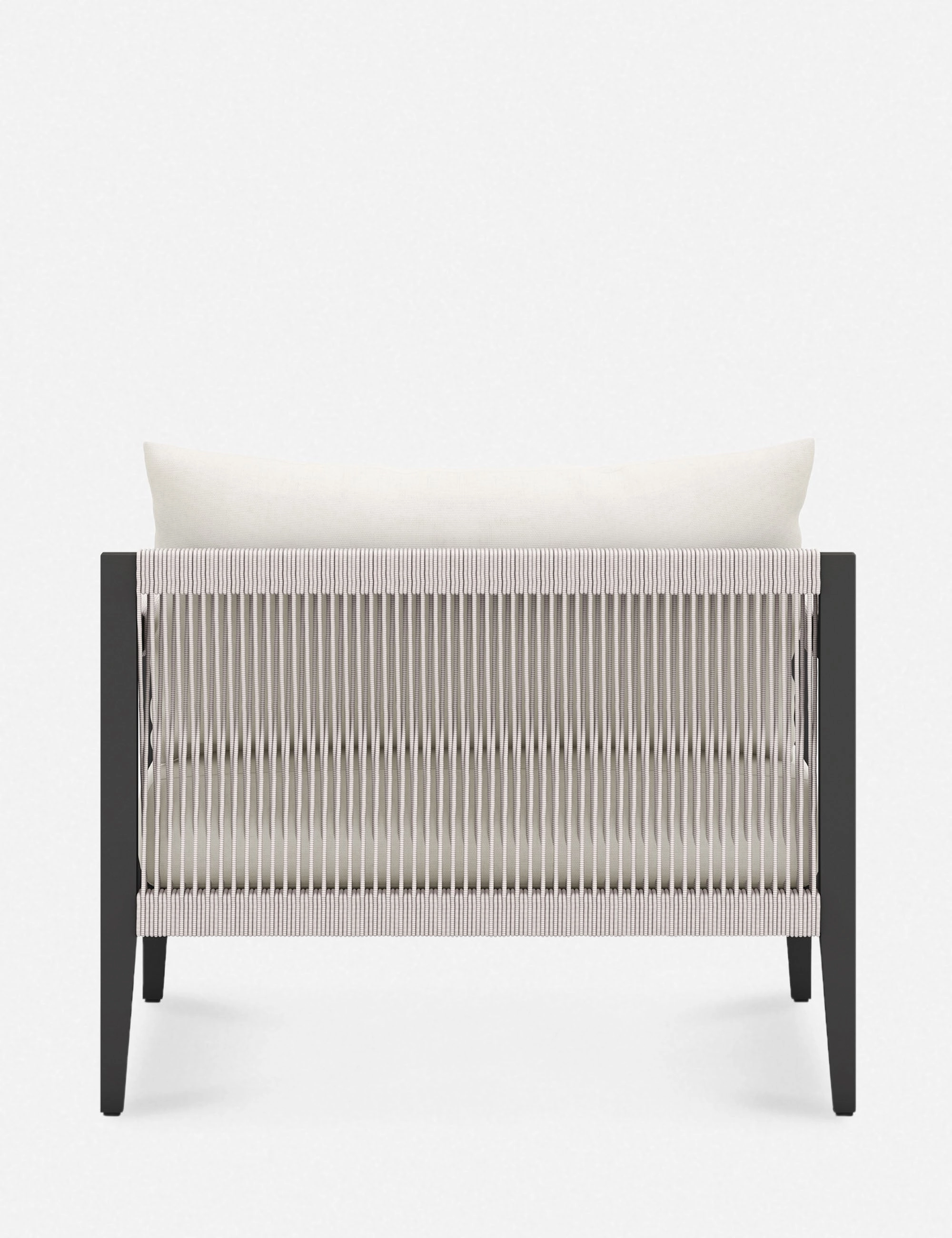 Cadenza Indoor / Outdoor Accent Chair