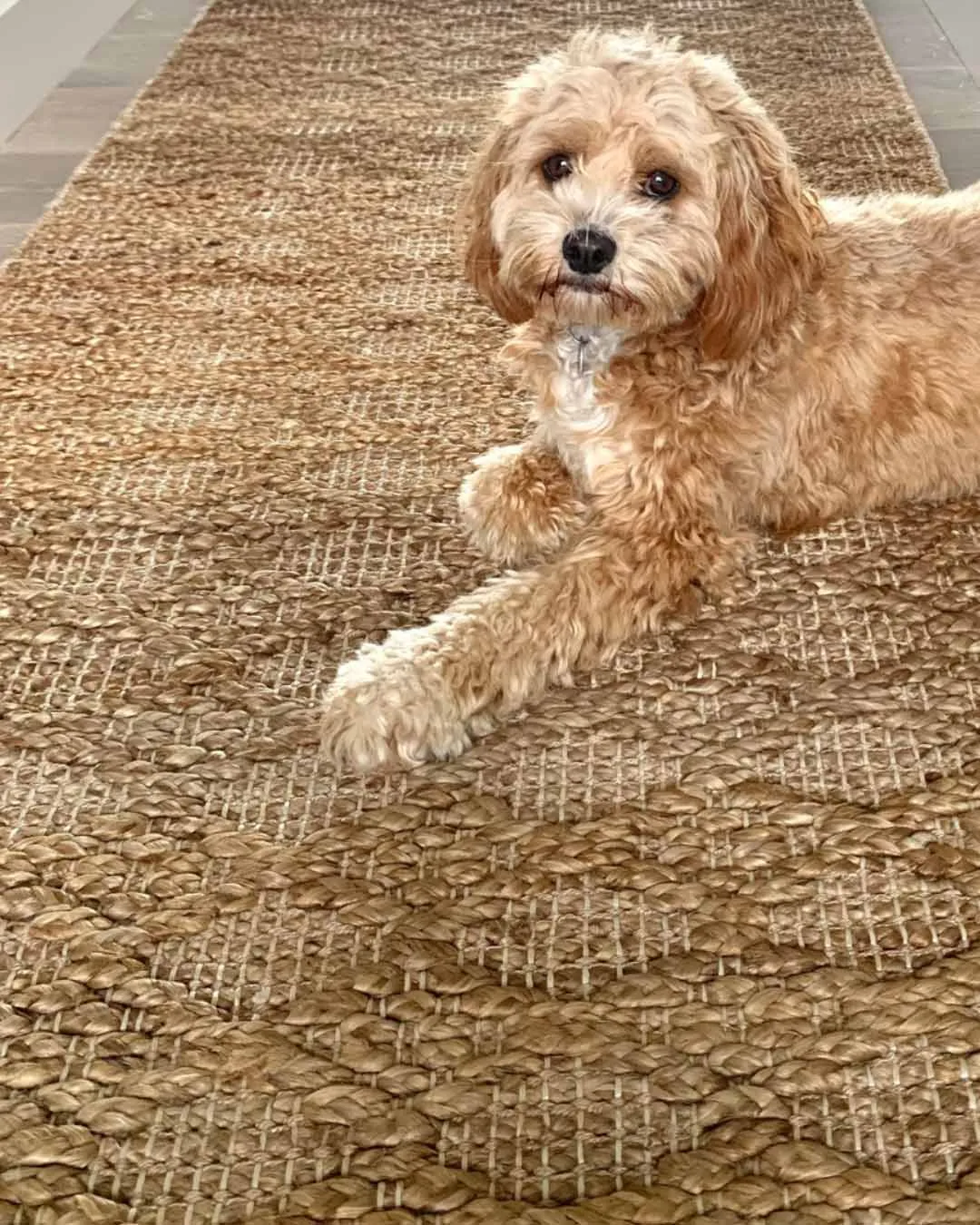 Callie Tribal Natural Diamond Jute Runner Rug *NO RETURNS UNLESS FAULTY